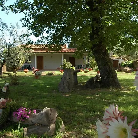Agriturismo San Vincenzo Farm stay